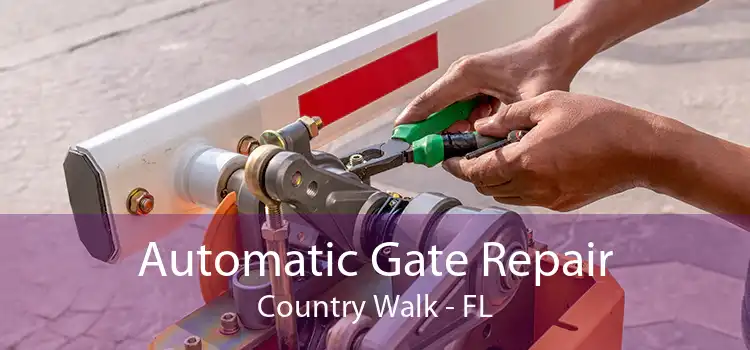 Automatic Gate Repair Country Walk - FL