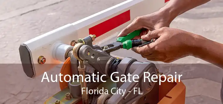 Automatic Gate Repair Florida City - FL