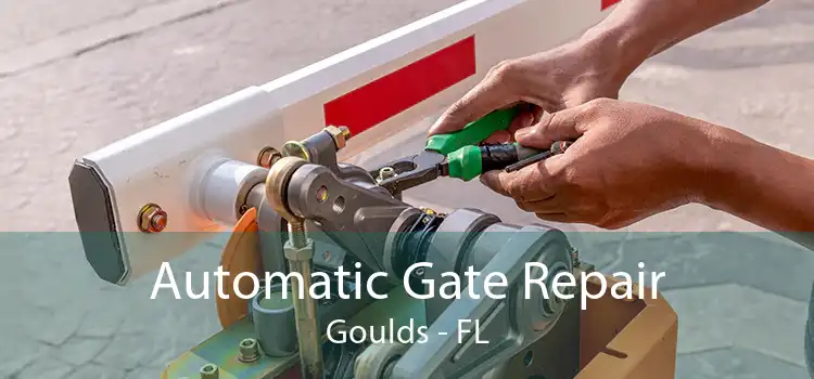 Automatic Gate Repair Goulds - FL