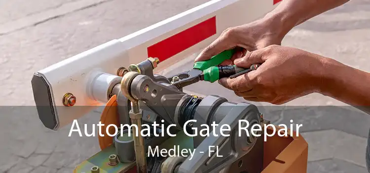 Automatic Gate Repair Medley - FL