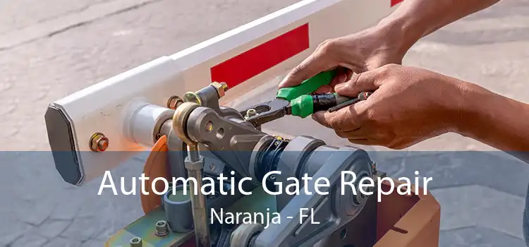 Automatic Gate Repair Naranja - FL