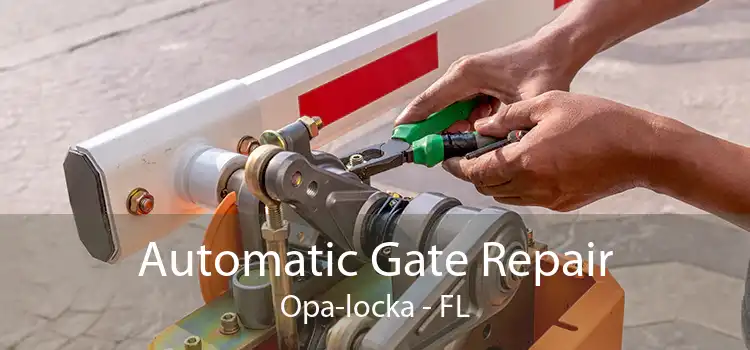 Automatic Gate Repair Opa-locka - FL