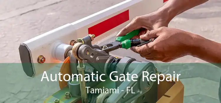 Automatic Gate Repair Tamiami - FL