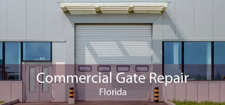 Commercial Gate Repair Florida