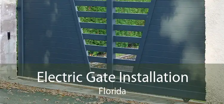 Electric Gate Installation Florida