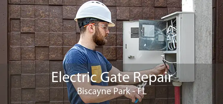 Electric Gate Repair Biscayne Park - FL