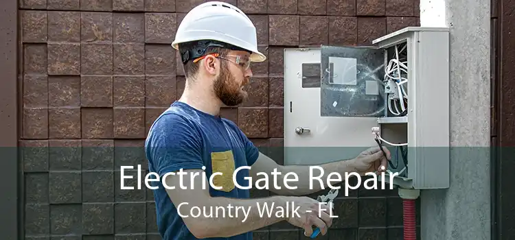 Electric Gate Repair Country Walk - FL