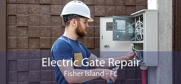 Electric Gate Repair Fisher Island - FL