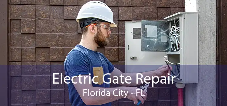 Electric Gate Repair Florida City - FL