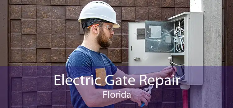 Electric Gate Repair Florida