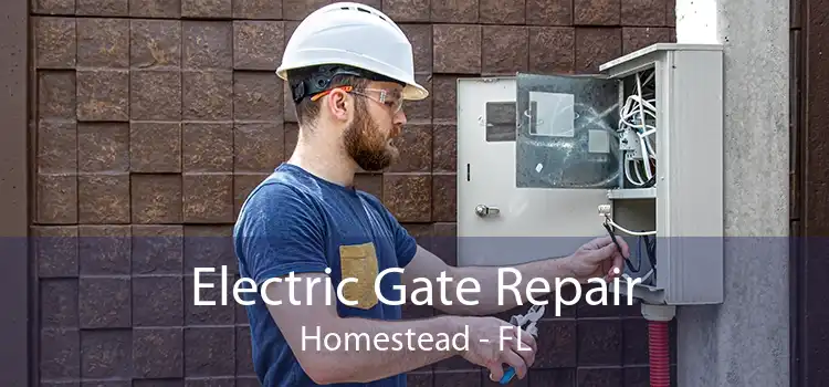 Electric Gate Repair Homestead - FL