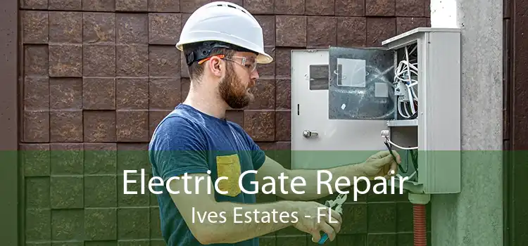 Electric Gate Repair Ives Estates - FL