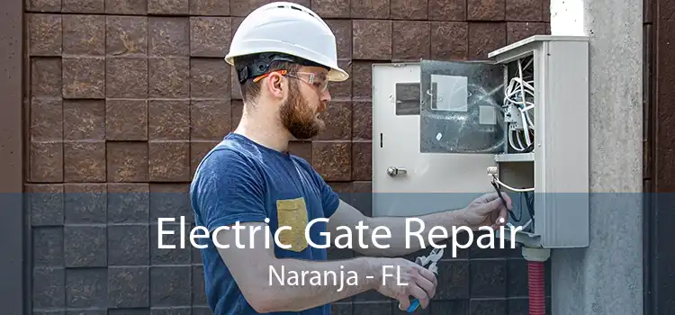 Electric Gate Repair Naranja - FL