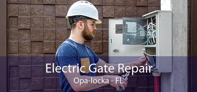 Electric Gate Repair Opa-locka - FL