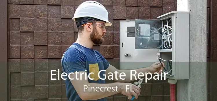 Electric Gate Repair Pinecrest - FL