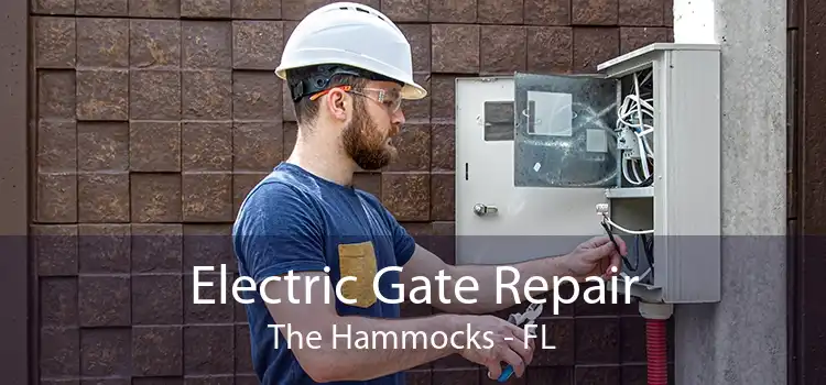 Electric Gate Repair The Hammocks - FL