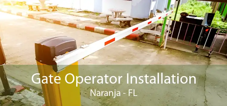 Gate Operator Installation Naranja - FL