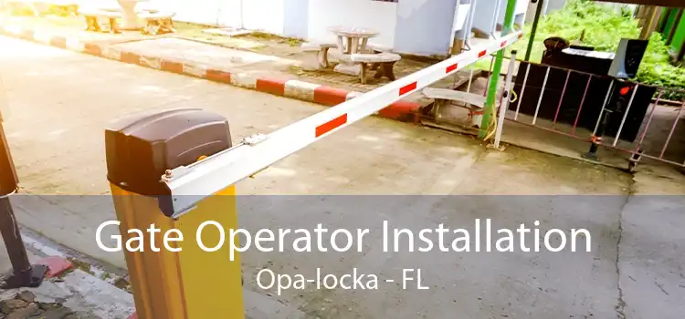 Gate Operator Installation Opa-locka - FL