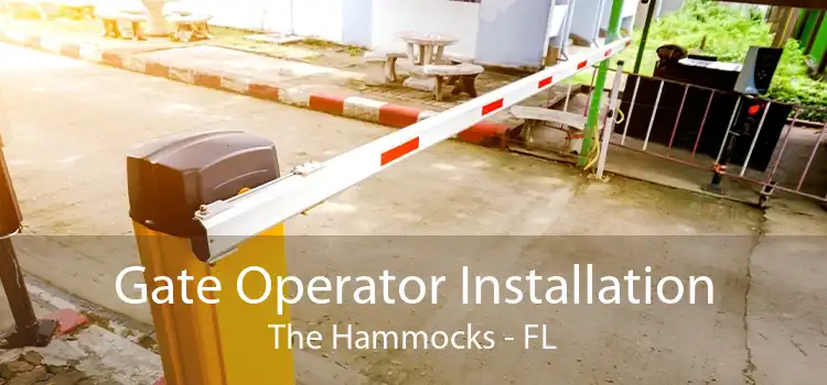 Gate Operator Installation The Hammocks - FL