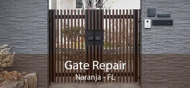 Gate Repair Naranja - FL